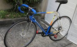 Colnago Master mit Campagnolo Potenza 11-fach Gruppe kaufen in Bâle-Ville #3 | velomarkt.ch