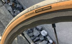 Bianchi Specialissima kaufen in Zürich #4 | velomarkt.ch