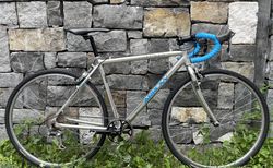 Arrow A-Pacer Custom Gravelbuild | in Rahmengrösse 51 | velomarkt.ch