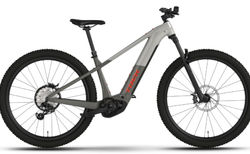 Trek Powerfly+ 6 Gen 5 XL Lunar Silver/Mercury | 5329784 | velomarkt.ch