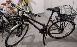 Crosswave Damenvelo | Crosswave mit Dameneinstieg | velomarkt.ch