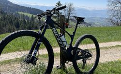 Scott Spark RC Team 29 kaufen in Zürich #2 | velomarkt.ch