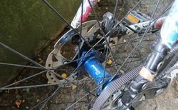Pinion Getriebe Hardtail Mountainbike kaufen in Thurgau #5 | velomarkt.ch