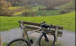 Haley Titanium Gravel Bike kaufen in Thurgovie #4 | velomarkt.ch
