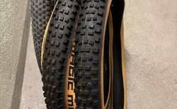 Wattmonster Bulls 29 E-Stream EVO AM Rh: 44 frisch ab Service! kaufen in Bern #3 | velomarkt.ch