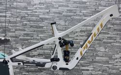 Pivot Frameset Firebird V5 Gr. M L White Gold | 00FBCV5---FRM-- WHGLG---ZN-I | velomarkt.ch