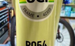 CANYON Endurance CF SL 8 kaufen in Basilea-Campagna #3 | velomarkt.ch