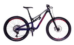 Rocky Mountain Altitude C70 (2023) kaufen in Zurich #2 | velomarkt.ch