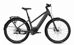 Flyer Goroc TR 7.33 | Black Shading Satin, 48 cm / 19" (M), FIT Basic eShift | velomarkt.ch