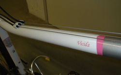 Wheeler Vicida Damen MTB kaufen in Appenzell Innerrhoden #3 | velomarkt.ch