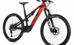 Rotwild R.X375 Core Light-EMTB Shimano EP8 | Rotwild R.X375 Core Light-EMTB Shimano EP8 | velomarkt.ch