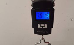 Cube Attain C:62 SLT 2026 kaufen in Zurich #3 | velomarkt.ch