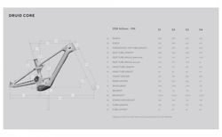 Forbidden Druid Core 1 Slated E-MTB Enduro mit DJI Avinox 800Wh kaufen in Argovie #4 | velomarkt.ch