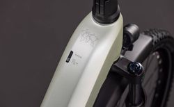 Cube Cube Nuride Hybrid EXC 800 lemongrass´n´reflex Easy Entry 58 cm lemongrass´n´reflex kaufen in Thurgau #3 | velomarkt.ch