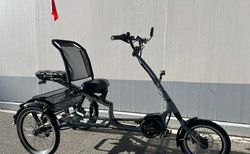 3-Rad E-Bike Pfautec Occasion | 3-Rad E-Bike gebraucht | velomarkt.ch