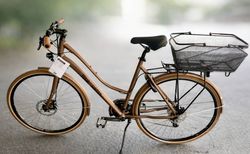 TdS Hin & Weg in Sonderfarbe cognac matt, 56cm | Vielseitiges Fahrrad in toller Farbe, Top-Zustand | velomarkt.ch