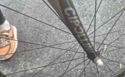 Cipollini Logos kaufen in Glaris #4 | velomarkt.ch