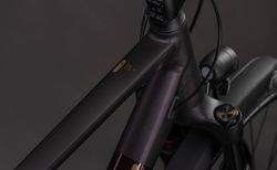 Cube Cube Kathmandu SLX solareclipse´n´gold 58 cm solareclipse´n´gold kaufen in Thurgau #3 | velomarkt.ch