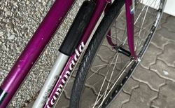 Caminada Damen Sport Velo kaufen in Zurigo #3 | velomarkt.ch