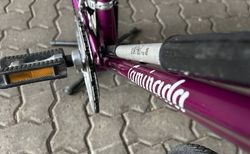 Caminada Damen Sport Velo kaufen in Zurigo #5 | velomarkt.ch