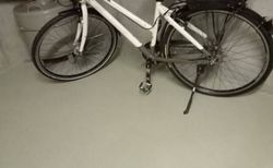 Damenvelo | Stadtvelo | velomarkt.ch