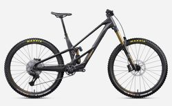 Orbea Rallon RS TEAM XL fuel carbon view - magic gold | WC1711D | velomarkt.ch