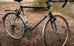 Vintage Rennvelo kaufen in Bern #5 | velomarkt.ch