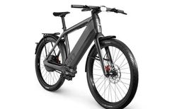 Stromer ST7 Pinion 20" (L) dark platinum Sport / E-Bike der Spitzenklasse kaufen in Bern #2 | velomarkt.ch