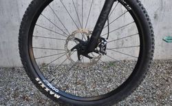 Rose Root Miller 2 kaufen in Zurich #5 | velomarkt.ch