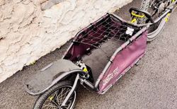 SPECIALIZED TUBRO LEVO mitt BURLEY Trailer kaufen in Tessin #5 | velomarkt.ch