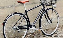 SPECIALIZED DAILY 2 60% Rabatt kaufen in Tessin #2 | velomarkt.ch