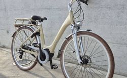 Whistle Retro E-Bike | Whistle Retro E-Bike | velomarkt.ch