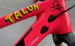 Pivot Switchblade Limited Edition L Talon Pink Limited Edition kaufen in Thurgau #5 | velomarkt.ch