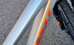 Pivot Firebird Ride M Silver Sunrise kaufen in Thurgau #4 | velomarkt.ch