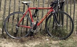 Rennrad Storck Limited Edition | Für Liebhaber und Bastler, Kult Rennvelo | velomarkt.ch