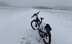 CUBE 2019 REACTION HYBRID Pro SL 500 L | CUBE 2019 REACTION HYBRID Pro SL 500 L | velomarkt.ch