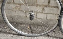 Shimano 28" | Laufradsatz | velomarkt.ch