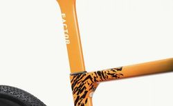 Factor Ostro Gravel Team Amani Edition 2025 kaufen in Luzern #2 | velomarkt.ch