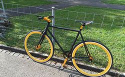 «Goldencycle» - Fixie das die Blicke auf sich zieht (Goldig) | #GOLDEN #fixie #schwarzmatt | velomarkt.ch