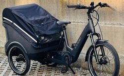 CUBE TRIKE CARGO HYBRID 750 Wh mit 25% Rabatt kaufen in Ticino #3 | velomarkt.ch
