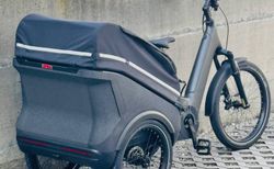 CUBE TRIKE CARGO HYBRID 750 Wh mit 25% Rabatt kaufen in Ticino #4 | velomarkt.ch