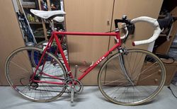 Klassisches ITCA Rennvelo – Campagnolo – Stahlrahmen – 55 cm | ITCA Rennvelo, Stahlrahmen, 55 cm, Campagnolo | velomarkt.ch