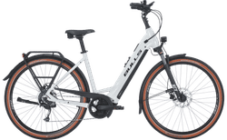 Bulls Cross Lite EVO 1 | 45 cm / 18" | velomarkt.ch