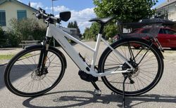 Riese & Müller Roadster (45 km/h) | Shimano Deore XT, 11-Gang, 53, Crystal White | velomarkt.ch