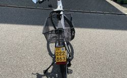 Riese &amp; Müller Roadster (45 km/h) kaufen in Zurich #3 | velomarkt.ch