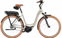 Riese & Müller Swing 5 silent | Riese & Müller Swing 5 silent | velomarkt.ch