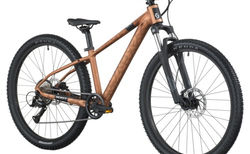 Scott Roxter 600 kaufen in Zürich #2 | velomarkt.ch