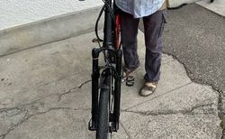 Speedped 1000 Watt kaufen in Schwyz #3 | velomarkt.ch