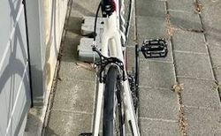 Rennvelo WILIER Triestina Team GTR kaufen in Liechtenstein #4 | velomarkt.ch