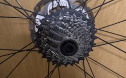 Tune Radsatz kaufen in Turgovia #5 | velomarkt.ch